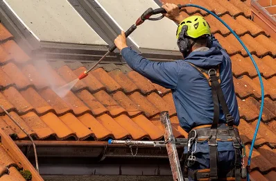 Démoussage et hydrofuge de toiture à Baleix